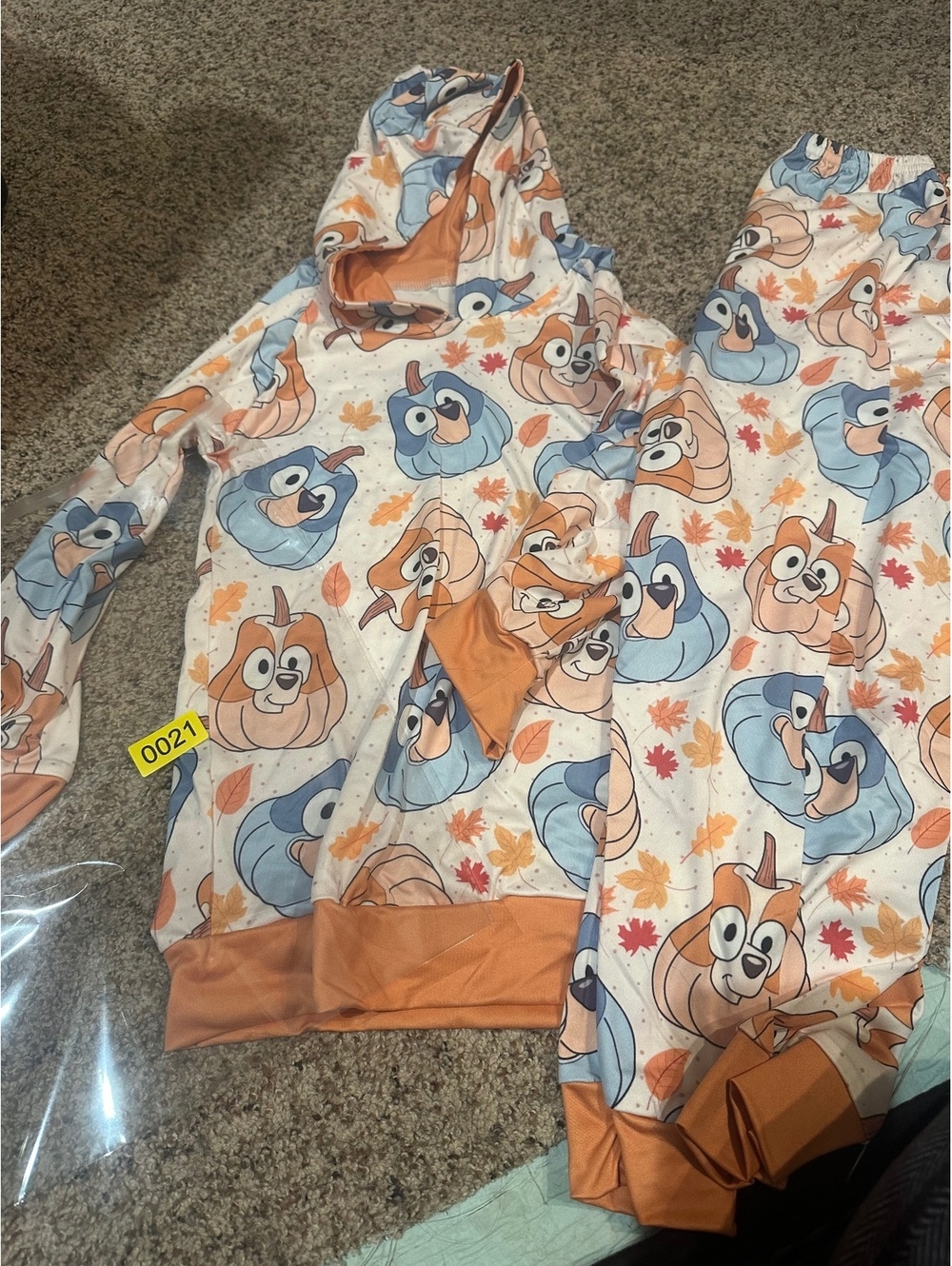 Bluey pumpkin outfit